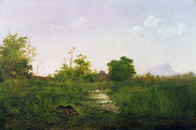 A sounder of warthogs in Sindolia Tank, Nasirabad Khandesh by Lt. Colonel George Dudley Carleton